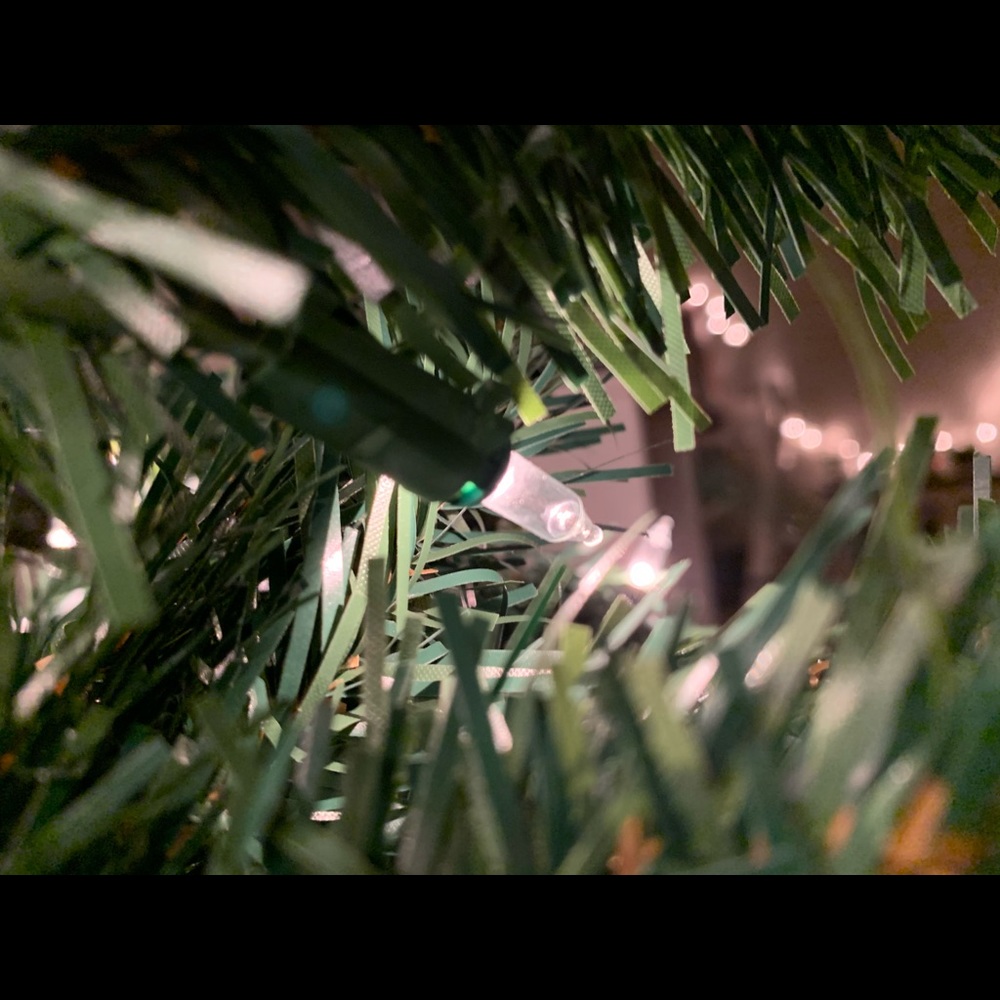 Meet your Posher, Peyton